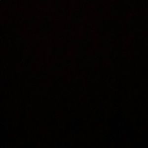 Meet your Posher, Misty